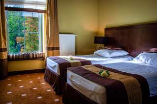 Отель Spa Medical Dwór Elizy Длугополе-Здруй Стандартный двухместный номер с 1 кроватью или 2 отдельными кроватями-1